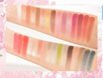 Paleta de Maquillaje Kevin&Coco – 117 Colores Edición Butterfly